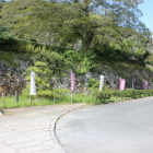 三の丸櫓門北側の石垣、幟旗、植栽があるが無くしてスッキリしたら？