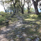 同左を上がって二の丸を南方向へ見る