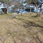 天守台東郭/本丸東上部