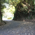 蔵之城東の堀切空堀