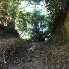 亀丸城と蔵之城登城口堀切