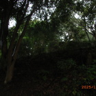 岐部城跡登城路上に石垣が見えるが？