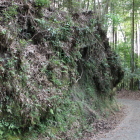 本丸南東側の切岸