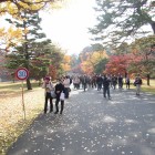 同左を振り返ると人と紅葉