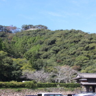 駐車場から見上げる城山景観整備石垣が見える