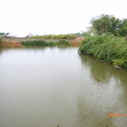 西側の濠を北方向