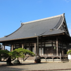 光林寺本殿、松が見事