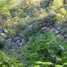 雛壇状石垣Ⅲ下部