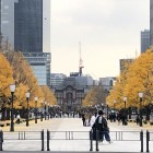 東京駅舎とイチョウ並木