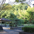 城山公園庭園側より鹿屋城を見上げる