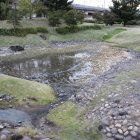 庭園の西池、清掃作業中