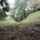 東側の外周堀と土塁奥に東土橋