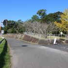 別府城を加世田川沿い南東より見る