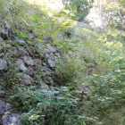 雛壇状石垣Ⅴ下部