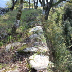 二の丸櫓門西側石垣外周の石垣天端