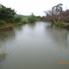 南側の濠を西方向へ