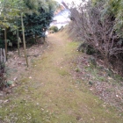 東側虎口と土橋