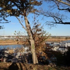 見晴らし台より