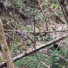 山側反対に流れる小川