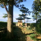 天澤寺の清正五輪塔