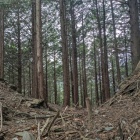 【正法寺城】深い堀切がお出迎え