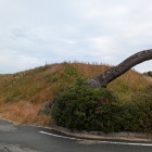 南西側の角部分