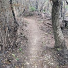 【世田山城】山火事で黒く焦げた浅い堀切