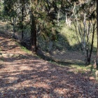 武者溜と本丸への登城路