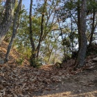 番所跡上の堀切