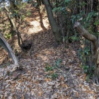 二の丸と北の丸をつなぐ土橋