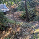 神社裏手の土橋
