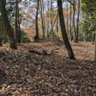 本丸の枡形になった土塁