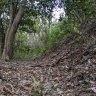 【炬口城】堀や土塁がよく残る