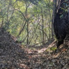 【一乗山城】畝状竪堀の一条