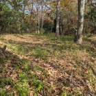 西の丸・北の丸の段曲輪