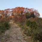 整備された登城路