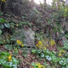 東側曲輪の石垣