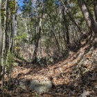 番所跡と匡真寺跡の間の竪堀