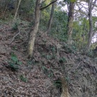 東側の畝状竪堀