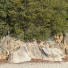 岩盤の上にある