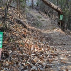 登城口から少し進むと分岐がある