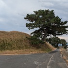 西側を流れる由良川と土塁