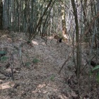 土塁も見られる