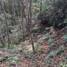 三の丸下の竪堀