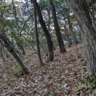 西側の小さな曲輪