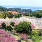 ⑦	美ら海（ちゅらうみ）を眺める（今帰仁城）