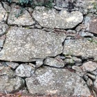 ③	初期の打込接（本丸）