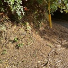 ⑦	福島正則陣跡