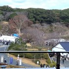 ⑧	博物館から見た大手口と太閤道