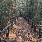 土塁上の散策路